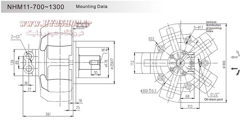 nhm11 diamation